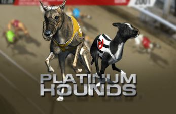 Hounds - 8 goal virtual game